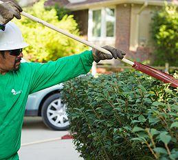 Omaha Tree Trimming Aesthetic Pruning | Great Plains Tree Care