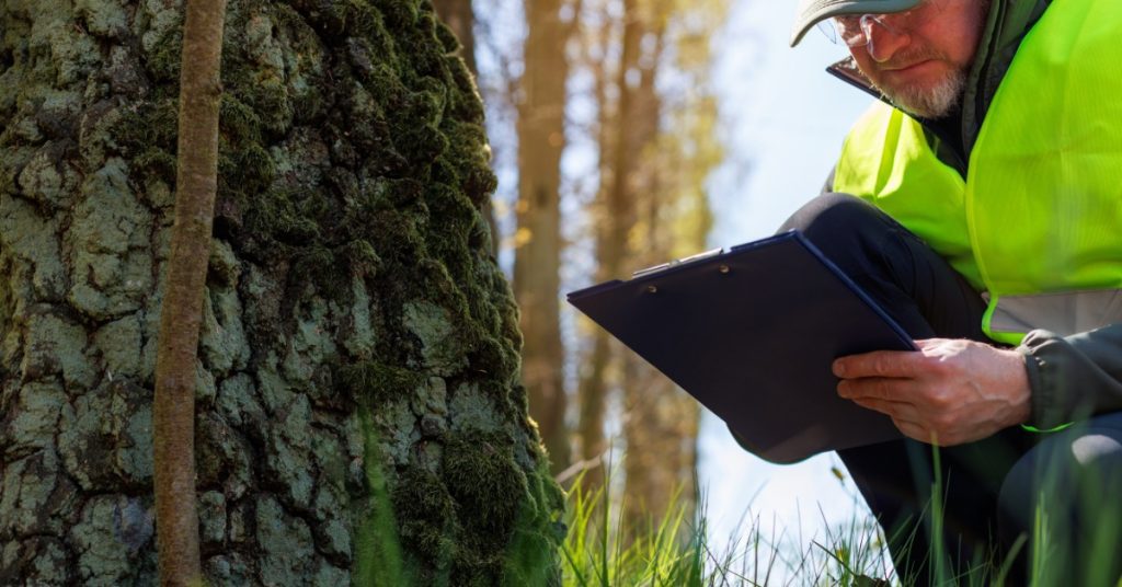 A professional arborist kneels close to the base of a tree trunk to write down notes about the soil health.