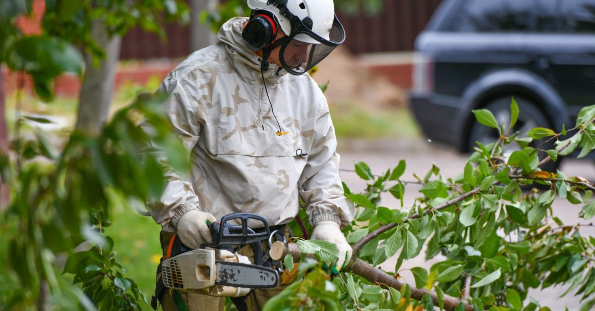 An arborist works with fallen tree limbs as they wear appropriate safety gear and trim a brand with handheld equipment.