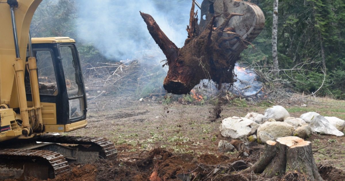 A heavy-duty excavator removing a stump from the ground. The ground below is dug out and free of utility lines.