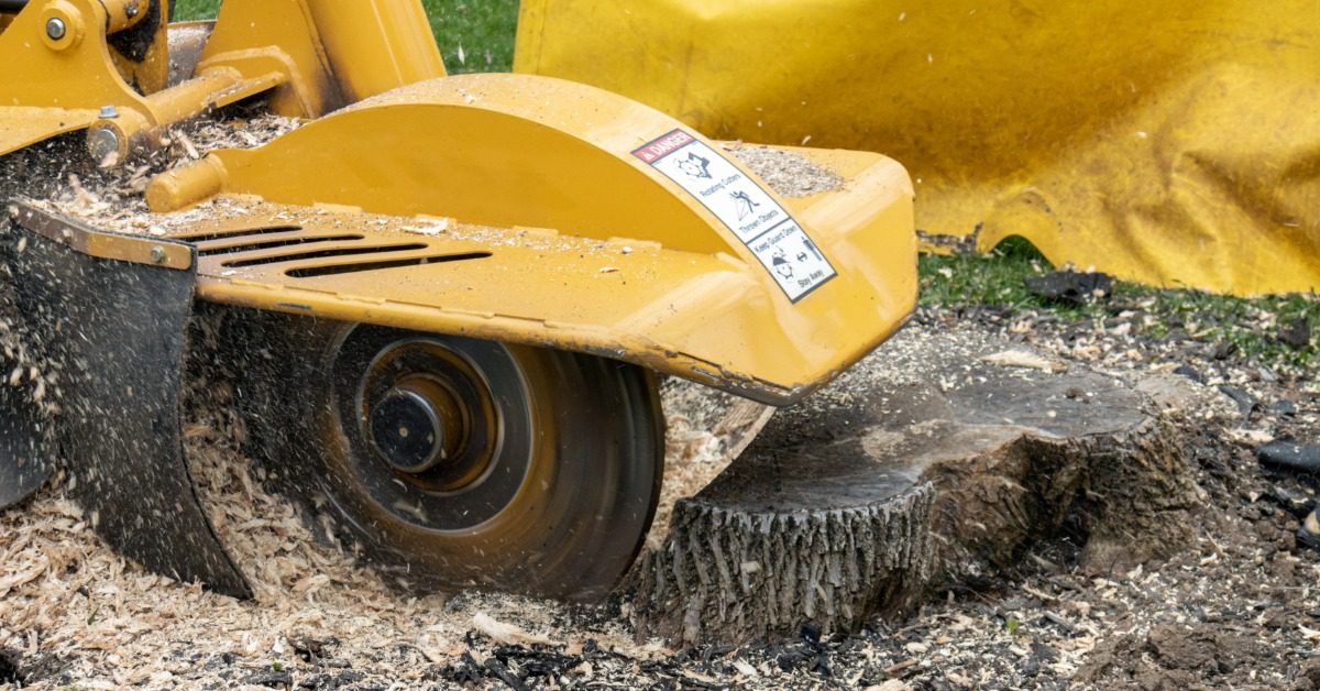 A close-up of a cutting machine ready to grind a stump in a residential yard. The machine is yellow.