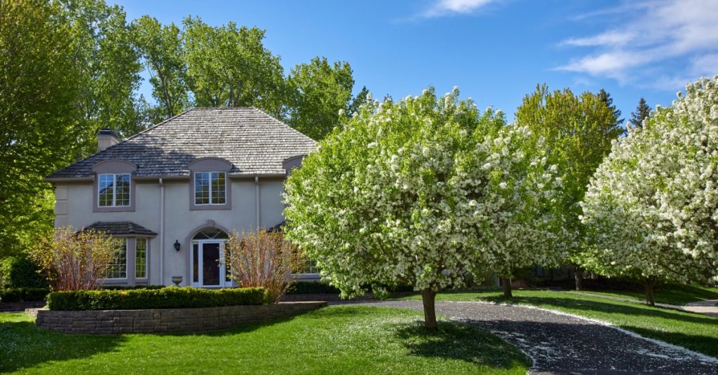 A beautiful home in a suburb with a lot of trees around the property, including smaller ones in the front yard.